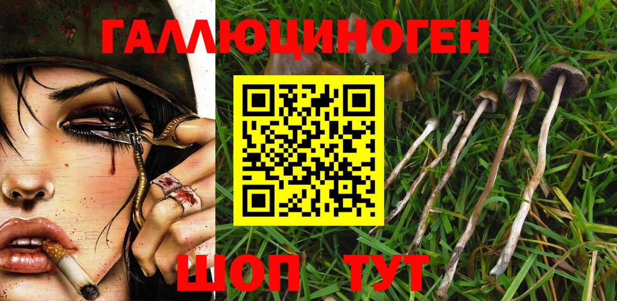Шебекино  Галлюциногенные грибы мицелий  Галлюциногенные грибы мухоморы  Вход с VPN 