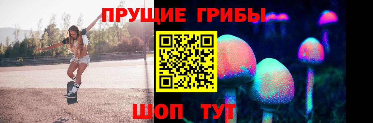 Псилоцибиновые грибы прущие грибы Шебекино